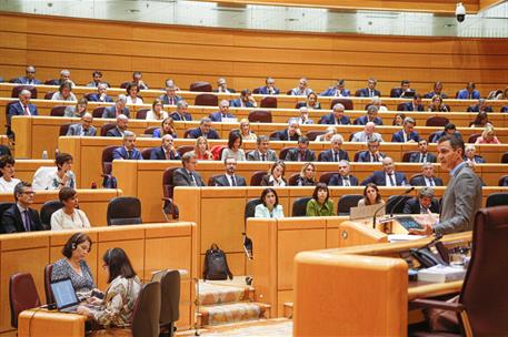 18/10/2022. Pedro S&#225;nchez comparece ante el Pleno del Senado