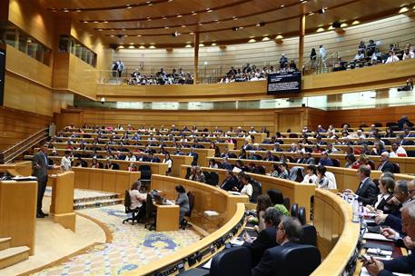 18/10/2022. Pedro S&#225;nchez comparece ante el Pleno del Senado