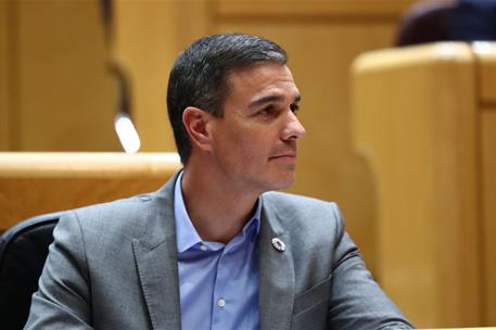 18/10/2022. Pedro Sánchez comparece ante el Pleno del Senado. El presidente del Gobierno, Pedro Sánchez, en el Senado.