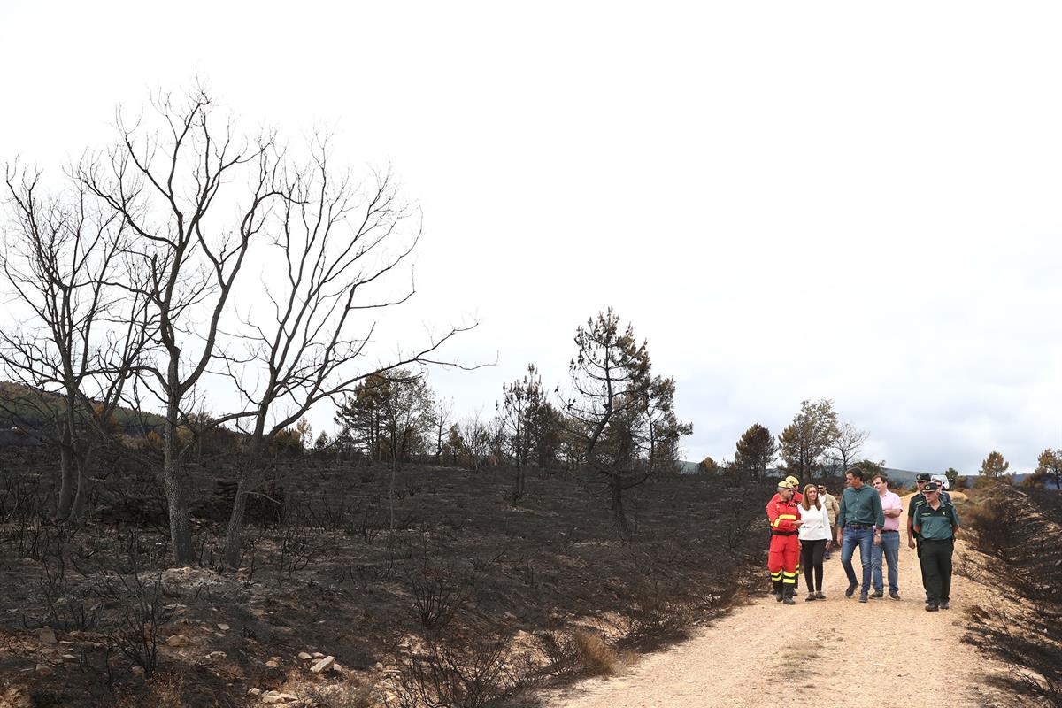 22/06/2022. Pedro Sánchez visita las zonas afectadas por el incendio en la Sierra de la Culebra. El presidente del Gobierno, Pedro Sánchez, ...