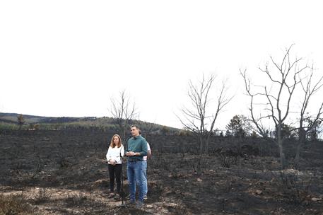 22/06/2022. Pedro S&#225;nchez visita las zonas afectadas por el incendio en la Sierra de la Culebra. El presidente del Gobierno, Pedro S&#225;nchez, ...