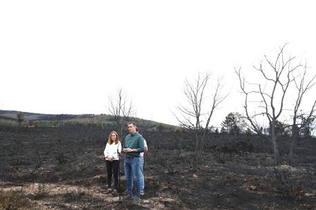 22/06/2022. Pedro Sánchez visita las zonas afectadas por el incendio en la Sierra de la Culebra. El presidente del Gobierno, Pedro Sánchez, ...