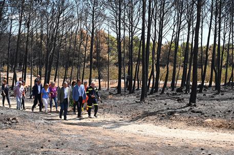 22/08/2022. Pedro S&#225;nchez visita las zonas afectadas por los incendios en Castell&#243;n