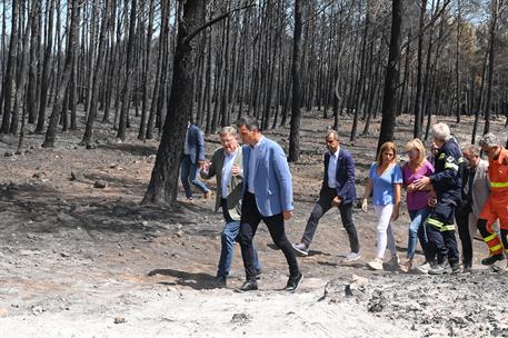 22/08/2022. Pedro Sánchez visita las zonas afectadas por los incendios en Castellón