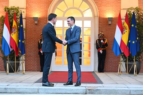30/03/2022. Pedro Sánchez se reúne con el primer ministro de los Países Bajos, Mark Rutte. El presidente del Gobierno, Pedro Sánchez, recibe...