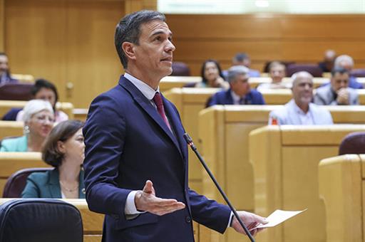El presidente del Gobierno, Pedro Sánchez, durante la sesión de control al Gobierno en el Senado