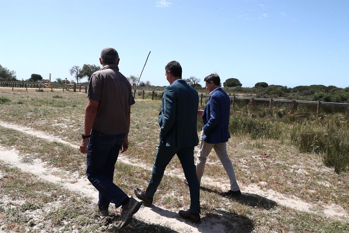 20/04/2023. Pedro Sánchez visita el Parque Nacional de Doñana. El presidente del Gobierno, Pedro Sánchez, durante su visita al Parque Nacion...