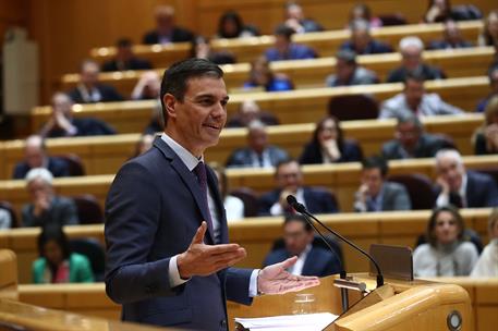 31/01/2023. Pedro Sánchez comparece en el Senado. El presidente del Gobierno, Pedro Sánchez, durante su comparecencia en el Senado para expl...