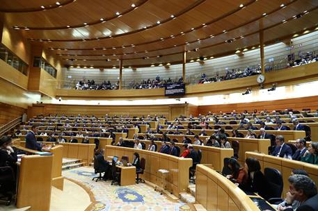 31/01/2023. Pedro S&#225;nchez comparece en el Senado. El presidente del Gobierno, Pedro S&#225;nchez, durante su comparecencia en el Senado para expl...