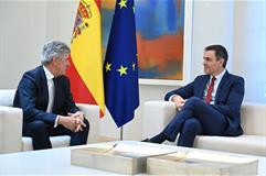 El presidente del Gobierno, Pedro Sánchez, recibe en La Moncloa al consejero delegado de Cellnex, Marco Patuano.