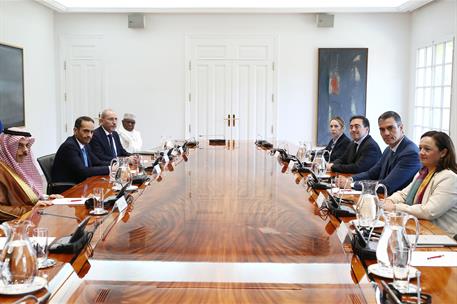 29/05/2024. Pedro S&#225;nchez se re&#250;ne con los miembros del Comit&#233; ministerial &#225;rabe-isl&#225;mico sobre Gaza. El presidente del Gobierno, Pedro S&#225;nc...