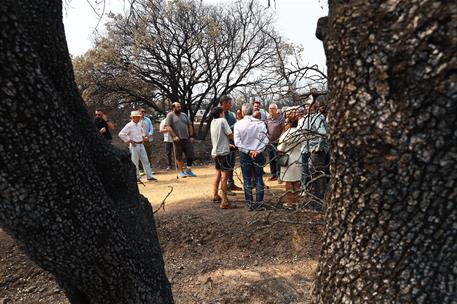 19/08/2025. Pedro Sánchez visita la zona afectada por los incendios en Molezuelas de la Carballeda (Zamora). El presidente del Gobierno, Ped...