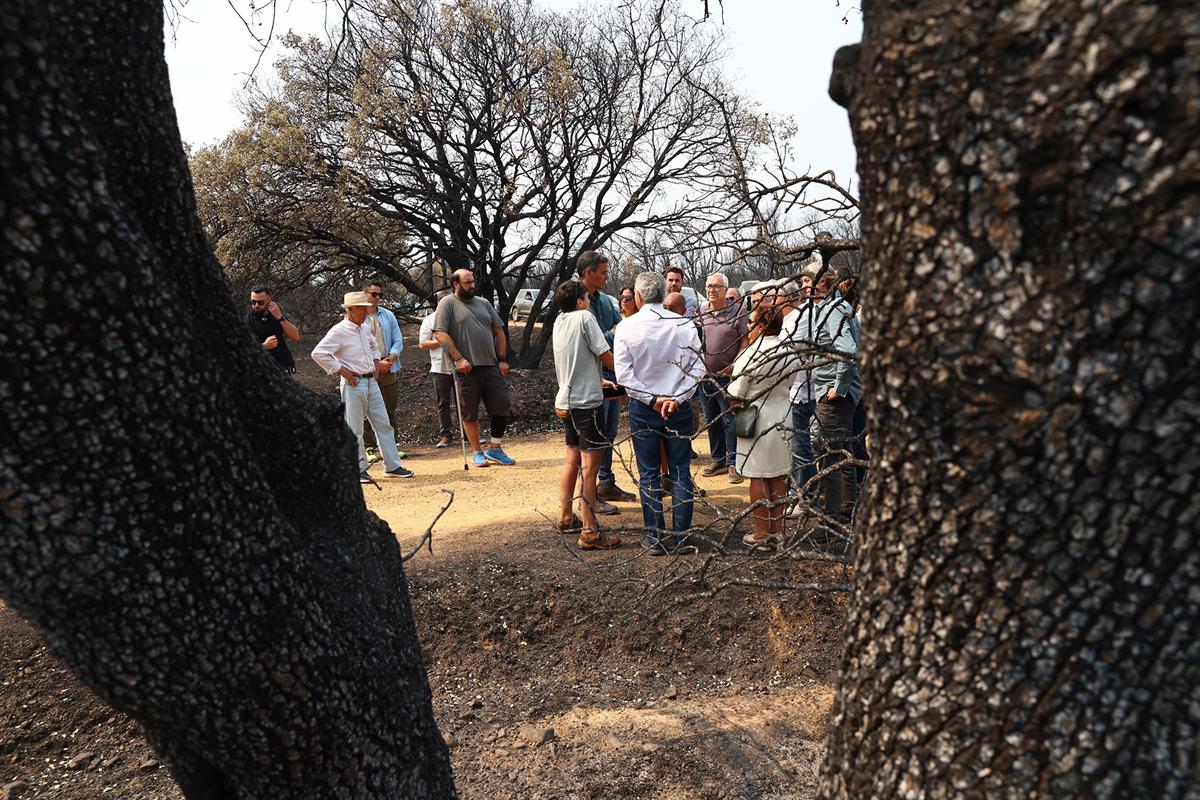 19/08/2025. Pedro Sánchez visita la zona afectada por los incendios en Molezuelas de la Carballeda (Zamora). El presidente del Gobierno, Ped...
