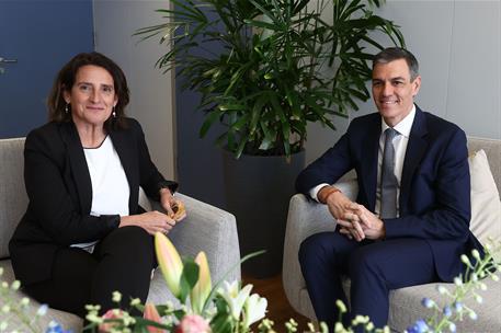 28/05/2025. El presidente del Gobierno se reúne con Teresa Ribera. El presidente del Gobierno, Pedro Sánchez, y la vicepresidenta de la Comi...