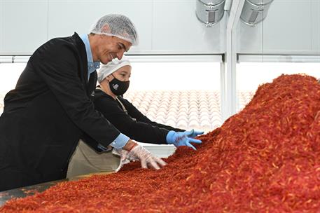 10/09/2026. Sánchez visita la nueva planta de Carmencita Especias. El presidente del Gobierno, Pedro Sánchez, durante el recorrido por la nu...