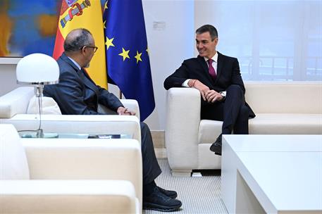 12/05/2026. Pedro Sánchez comparece junto al director general de la Organización Mundial de la Salud (OMS). El presidente del Gobierno, Pedr...