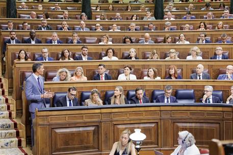 Pedro Sánchez durante la sesión del control al Gobierno 