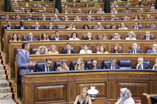 Pedro Sánchez durante la sesión del control al Gobierno 