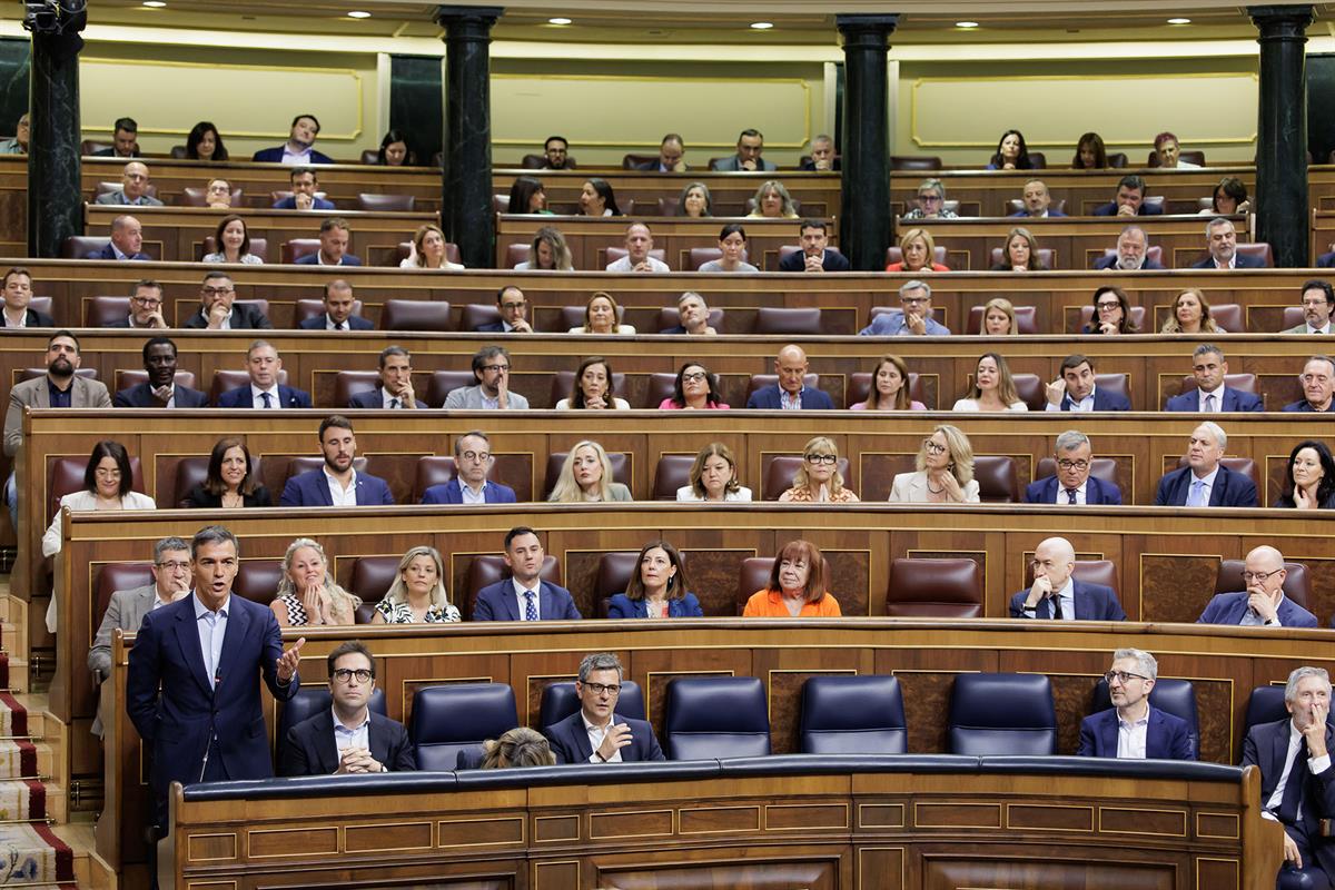 El presidente del Gobierno, Pedro S&aacute;nchez, durante una de sus intervenciones en la sesi&oacute;n de control en el Congreso