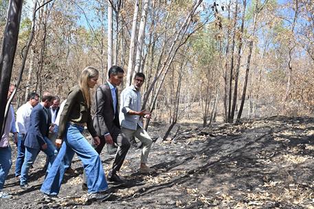 17/09/2026. Visit to the area affected by the fire in Niebla. The President of the Government of Spain, Pedro Sánchez, together with the Thi...