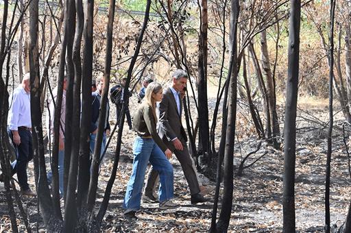 17/09/2026. Visita a las zonas afectadas por el incendio de Niebla. El presidente del Gobierno, Pedro Sánchez, junto a la vicepresidenta ter...
