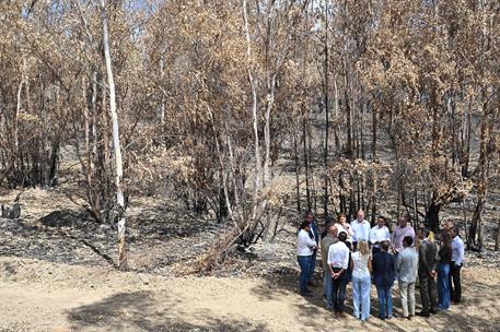 17/09/2026. Visit to the area affected by the fire in Niebla. The President of the Government of Spain, Pedro Sánchez, with mayors of the to...