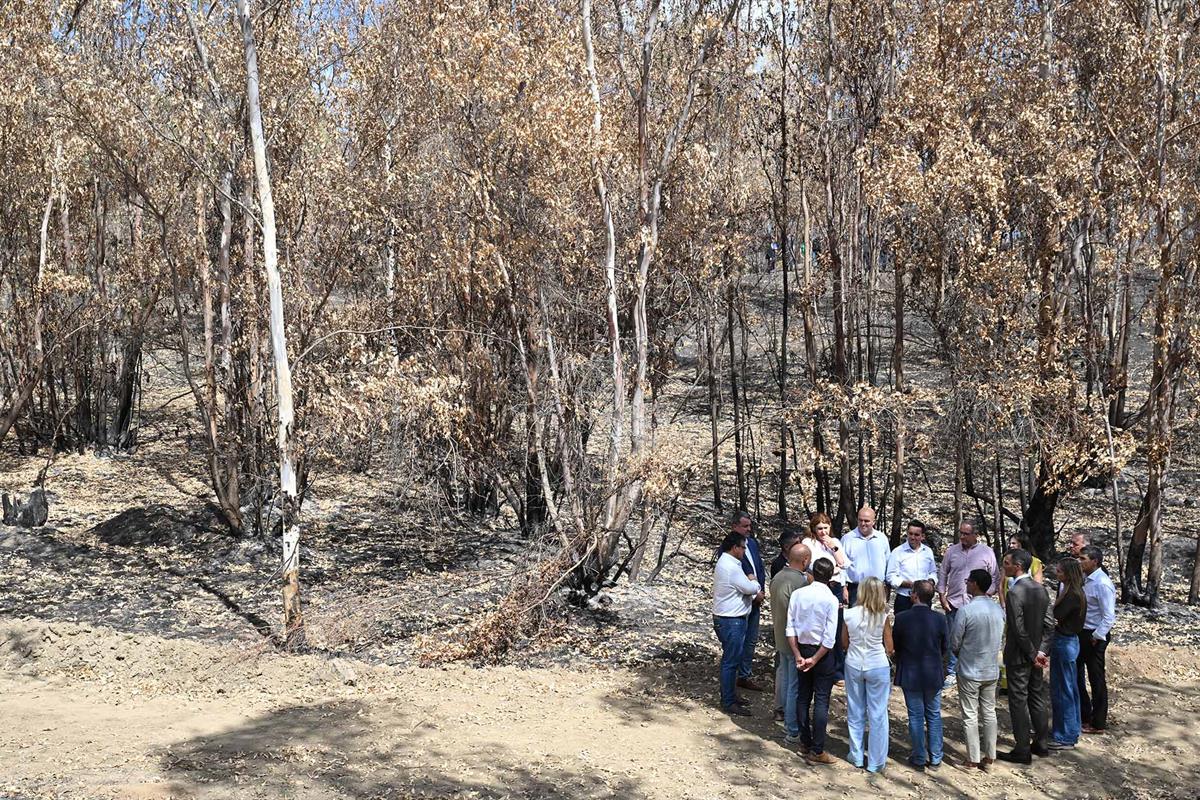 17/09/2026. Visit to the area affected by the fire in Niebla. The President of the Government of Spain, Pedro Sánchez, with mayors of the to...