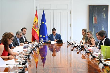 El presidente del Gobierno, Pedro Sánchez, junto a varios miembros de su Gabinete