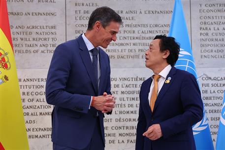 26/05/2026. Pedro Sánchez participa en las jornadas de la FAO en Roma. El presidente del Gobierno, Pedro Sánchez, en su encuentro con el dir...