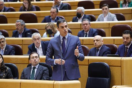 26/04/2022. 260422-sanchez_senado