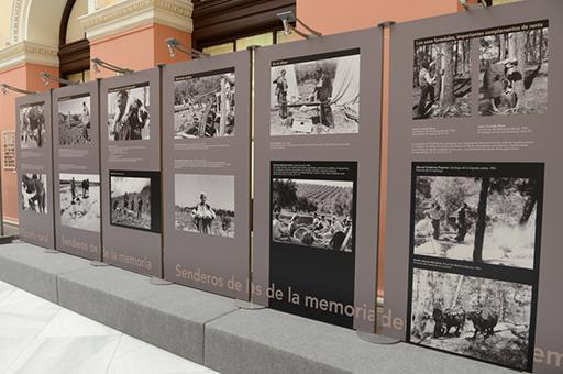 10/05/2019. Exposición Cultivando Memoria 10/05/2019. Exposición Cultivando Memoria