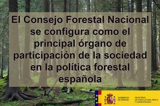 Cartel Consejo Forestal Nacional