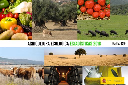 Agricultura ecológica. Estadísticas 2018