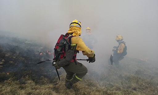 Brigadas de refuerzo en incendios forestales