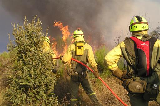 Brigadas de refuerzo trabajan desde tierra contra los incendios forestales 