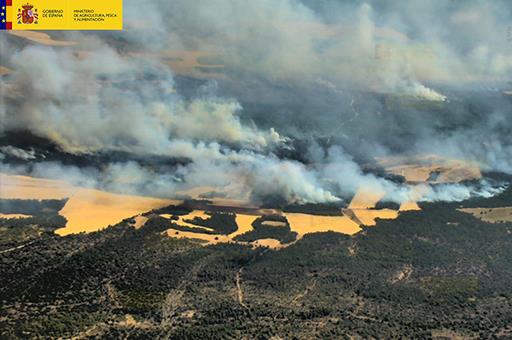 Incendio de Barchín del Hoyo (Cuenca)