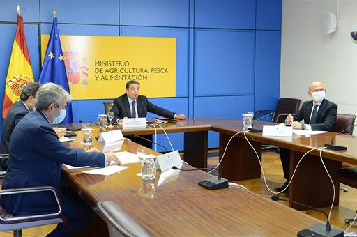 El ministro Luis Planas durante su intervención por videoconferencia