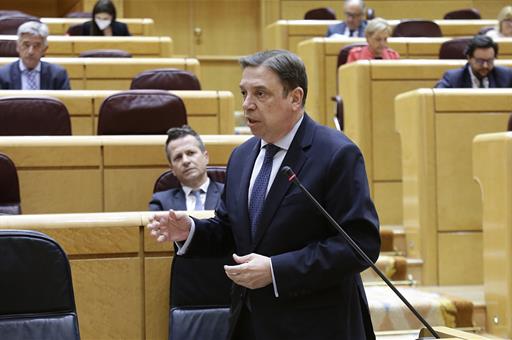 Luis Planas durante su intervención en el Senado