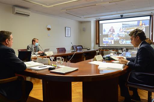 Consejo de Ministros de Agricultura de la UE, por videoconferencia