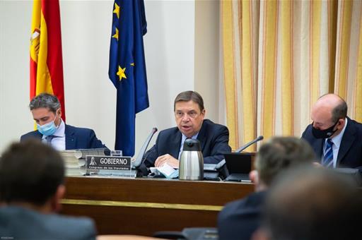 El ministro Luis Planas, durante su intervención en el Congreso