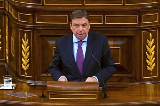 Luis Planas, durante su intervención ante el Pleno del Congreso de los Diputados