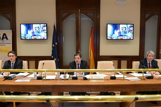 Luis Planas durante la videoconferencia