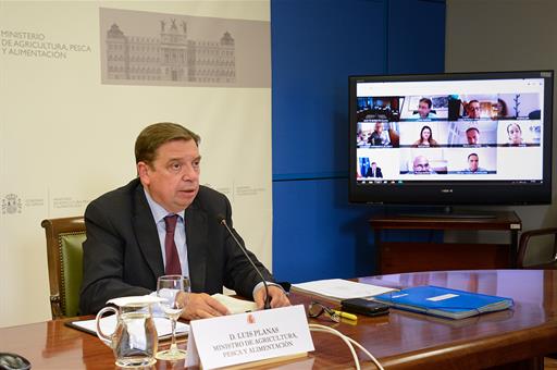 Luis Planas durante la videoconferencia