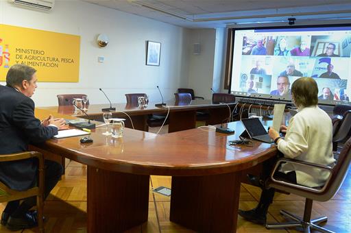 El ministro Luis Planas durante la reunión, celebrada por videoconferencia