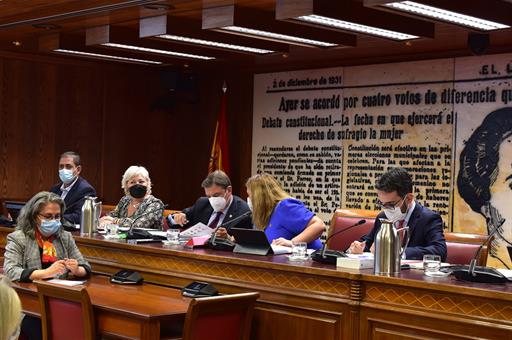 Luis Planas, en la Comisión de Agricultura, Pesca y Alimentación del Senado