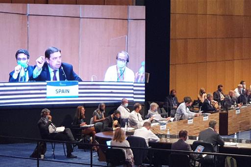 El ministro Planas durante su intervención en el Consejo Informal