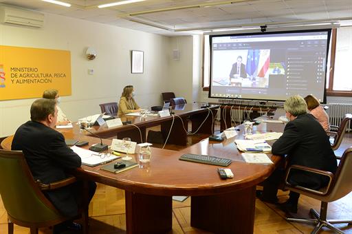 El ministro Luis Planas en la reunión con sus homólogos europeos y el comisario de pesca de la UE