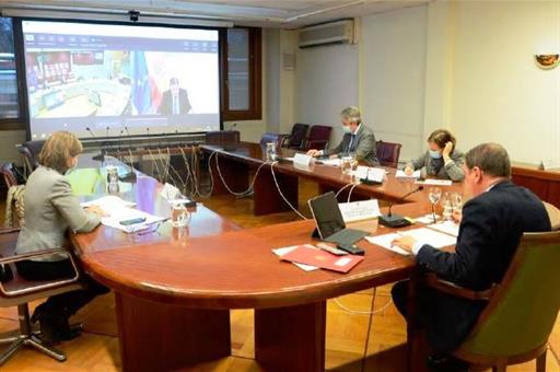 El ministro Luis Planas durante la reunión, celebrada por videoconferencia