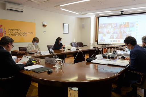 Reunión, por videoconferencia, de las Conferencias Sectoriales presididas por el ministro Luis Planas