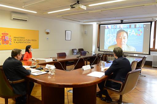 El ministro Luis Planas durante la videoconferencia de presentación del informe de FAO